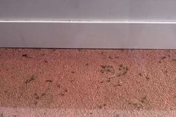 El agua empozada en un estanque, posible foco de una plaga de mosquitos en El Ejido (Telde)/TA.