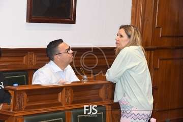  El Pleno de Telde pasa a tener cinco concejales no adscritos desde este jueves/Francisco Javier Santana.