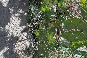 La oposición pide un plan especial para la calle Eolo/TA.