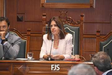 Pleno extraordinario para tomar conocimiento de la dimisión del edil Agustín Déniz/Francisco Javier Santana.