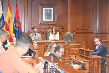 Pleno extraordinario para tomar conocimiento de la dimisión del edil Agustín Déniz/Francisco Javier Santana.