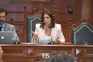 Pleno extraordinario para tomar conocimiento de la dimisión del edil Agustín Déniz/Francisco Javier Santana.