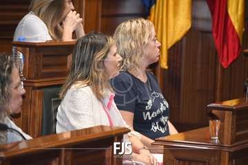 Pleno extraordinario para tomar conocimiento de la dimisión del edil Agustín Déniz/Francisco Javier Santana.