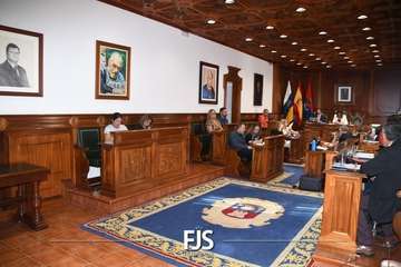 Pobre estampa de la oposición de Telde en el Pleno/Francisco Javier Santana y TA.