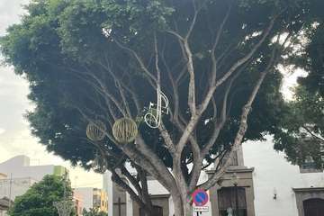 Telde enciende este viernes la Navidad con 480 adornos de luz LED y de bajo consumo en sus calles/TA.