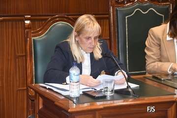 El Pleno aprueba por unamidad como institucional una moción de NC sobre la eliminación de la tercera pista de Gando/FJS Fotografía.