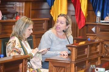 El Pleno aprueba por unamidad como institucional una moción de NC sobre la eliminación de la tercera pista de Gando/FJS Fotografía.