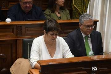 El Pleno aprueba por unamidad como institucional una moción de NC sobre la eliminación de la tercera pista de Gando/FJS Fotografía.