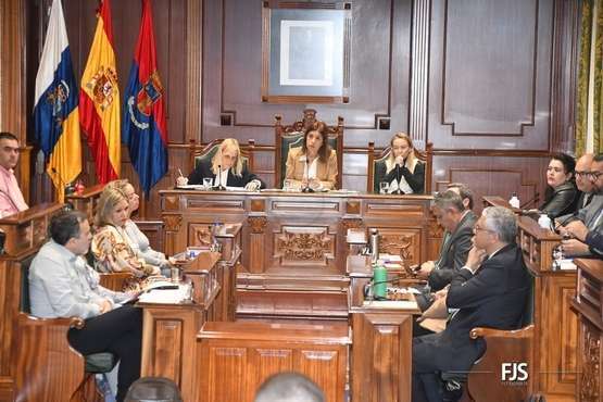 El Pleno aprueba por unamidad como institucional una moción de NC sobre la eliminación de la tercera pista de Gando/FJS Fotografía.