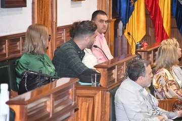 El Pleno aprueba por unamidad como institucional una moción de NC sobre la eliminación de la tercera pista de Gando/FJS Fotografía.
