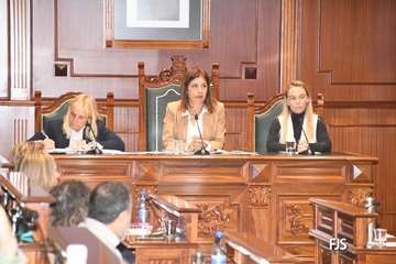 El Pleno aprueba por unamidad como institucional una moción de NC sobre la eliminación de la tercera pista de Gando/FJS Fotografía.