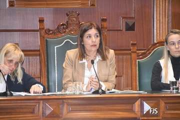 El Pleno aprueba por unamidad como institucional una moción de NC sobre la eliminación de la tercera pista de Gando/FJS Fotografía.