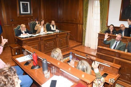 El Pleno aprueba por unamidad como institucional una moción de NC sobre la eliminación de la tercera pista de Gando/FJS Fotografía.