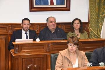 El Pleno aprueba por unamidad como institucional una moción de NC sobre la eliminación de la tercera pista de Gando/FJS Fotografía.