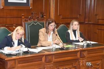 El Pleno aprueba por unamidad como institucional una moción de NC sobre la eliminación de la tercera pista de Gando/FJS Fotografía.