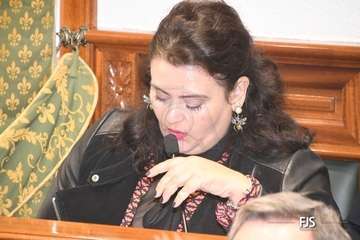 El Pleno aprueba por unamidad como institucional una moción de NC sobre la eliminación de la tercera pista de Gando/FJS Fotografía.