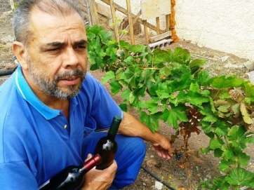 Isaac Florido, en su plantación (Foto TA)