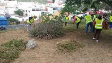 Personal de convenio trabajado en zonas verdes de Jinámar (Foto TA)