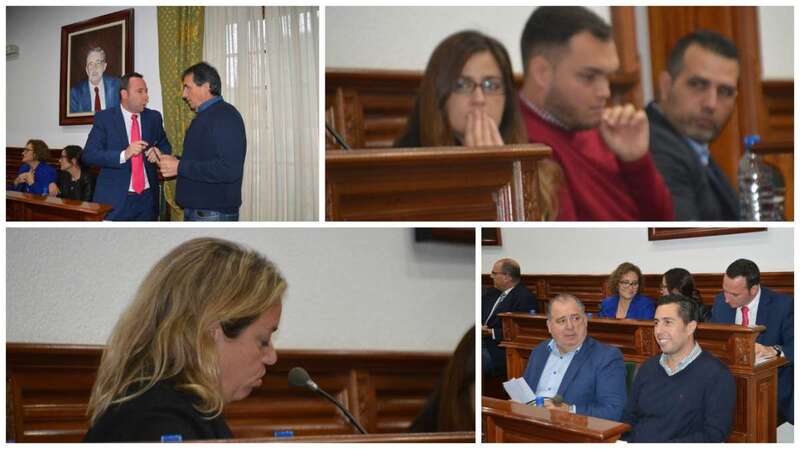 Diferentes momentos del Pleno de este viernes (Foto TA)