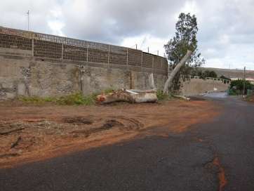 Tala de eucaliptos en Hornos del Rey (TA)
