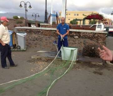 Malla para la captura de palomas en la playa de Melenara (Foto TA)
