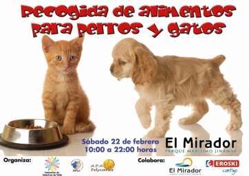 Cartel de la recogida de alimentos de Fedec Telde (Foto TA)