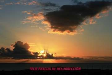 Imagen de Jesús Ruiz Mesa