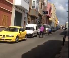 Momento en que un policía local intenta capturar al animal (Foto TA)