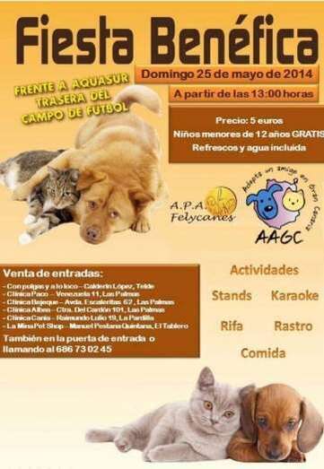 Cartel del evento benéfico (Foto TA)