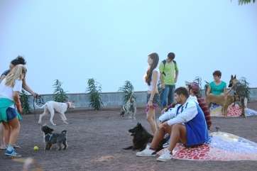 Decenas de usuarios acudieron al acto inaugural del parque canino con sus animales (Foto TA)