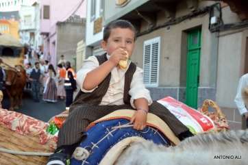 Un niño a lomo de un burro participa en la romería (Foto Antonio Alí)