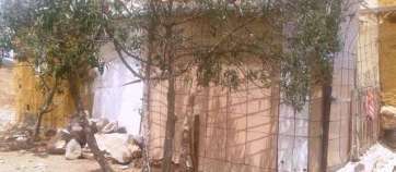 Chabola donde vive el joven de Caserones Altos (Foto TA)