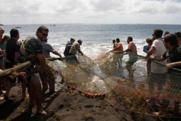 Pescadores y vecinos de Melenara recogiendo el chinchorro cargado de pescado (Foto Jesús Ruiz)