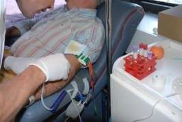 Donación de sangre (Foto TA)