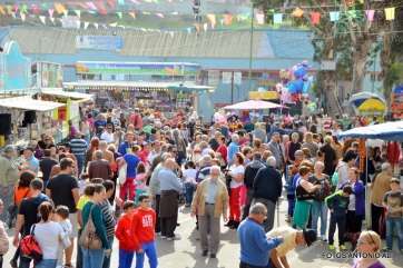 Puestos de artesanía y productos canarios en Jinámar (Foto Antonio Alí)
