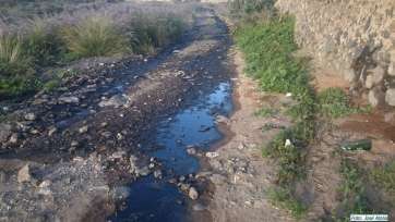 Imagen del vertido de aguas fecales en el barranco de Silva, en Telde (Foto José Alzola)