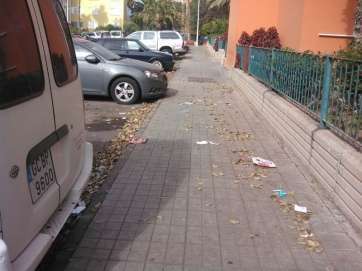 Imagen de la basura acumulada en una de las calles de Las Remudas (Foto TA)