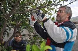 Imagen de archivo de un curso organizado por Agricultura (Foto TA)