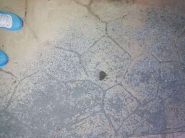 Imagen del estado en el que se encuentra la avenida que une La Garita con Taliarte (Foto TA)