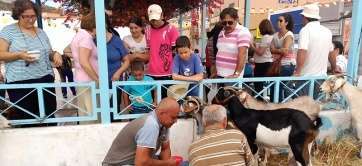 Los asistentes pudieron degustar leche fresca de cabra (Foto TA)