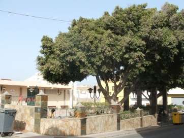 Calle de El Goro (Foto TA)