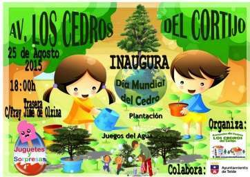 Cartel de la actividad (Foto TA)