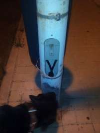 Imagen de una de las farolas sin tapa (Foto TA)