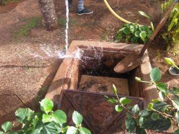 Arqueta donde afloran aguas fecales en Las Remudas (Foto TA)