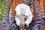 Gala de la Reina del Carnaval de Las Palmas de GC (Foto lpcarnaval)