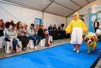 I Pasarela Canina de Disfraces de El Mirador (Foto TA)