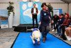I Pasarela Canina de Disfraces de El Mirador (Foto TA)