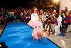 I Pasarela Canina de Disfraces de El Mirador (Foto TA)