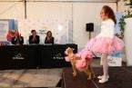 I Pasarela Canina de Disfraces de El Mirador (Foto TA)