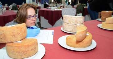 Una componente del jurado de la cata observa los quesos (Foto TA)